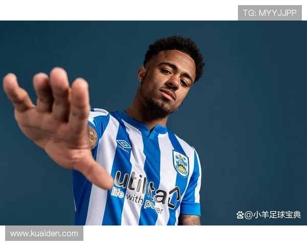 巴恩斯利足球俱乐部的发展历程与辉煌成就分析